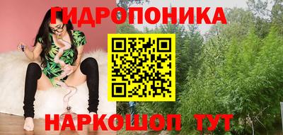 spice Рыбинск
