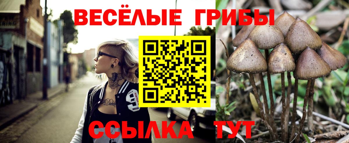 Псилоцибиновые грибы мицелий Севастополь
